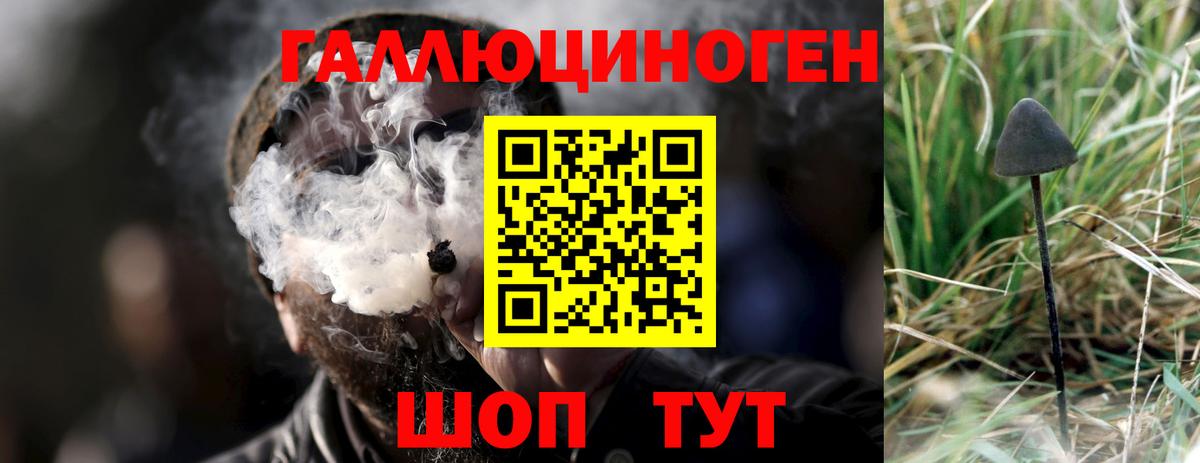 Галлюциногенные грибы GOLDEN TEACHER Батайск